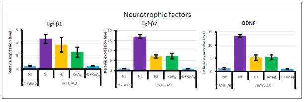 Alzheimer‘s disease brain에서증가하는 neurotrophic factor들의발현변화