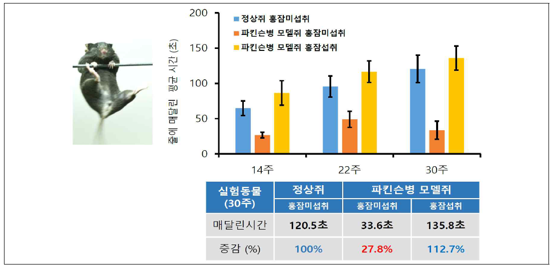 홍잠섭취와 미섭취 파킨슨병 모델 마우스의 줄에 메달리는 능력 비교 연구결과