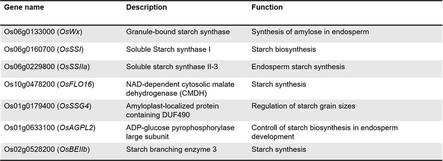 벼 종자의 starch 및 polysaccharide 관련 유전자 표