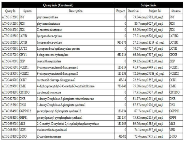 황금 전사체로부터 선별된 carotenoid 생합성 관련 유전자