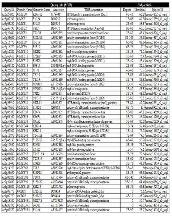 황금 전사체로부터 선별된 MYB-계열 전사 관련 유전자