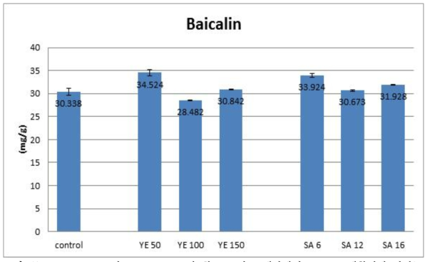 Yeast extract와 salicylic acid가 황금 모상근 배양에서 baicalin 생합성에 미치는 영향