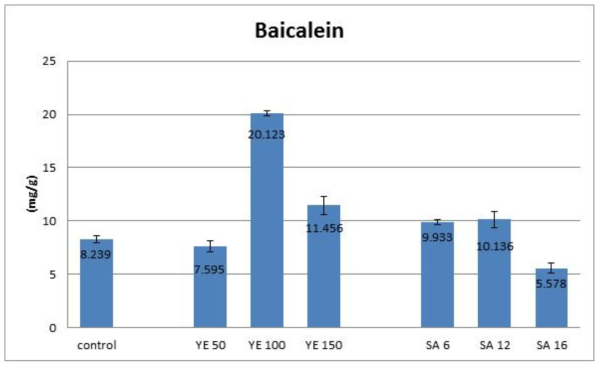 Yeast extract와 salicylic acid가 황금 모상근 배양에서 baicalein 생합성에 미치는 영향
