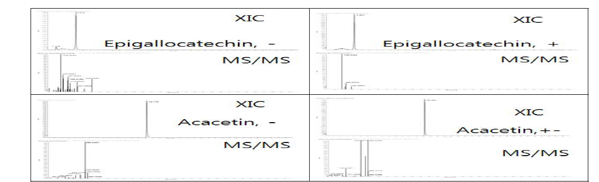 LC-MS를 통한 표준물질 MS/MS 분석 결과
