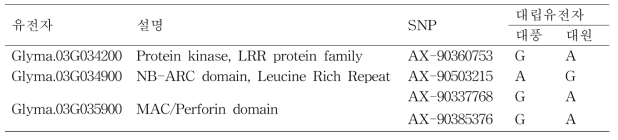 균주 2457 저항성 유전자좌 내 후보 유전자 및 유전자에 위치하는 SNP