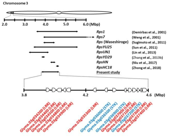 염색체 3번 저항성 유전자좌에 대한 선행연구와의 비교 및 예측 유전자 모델