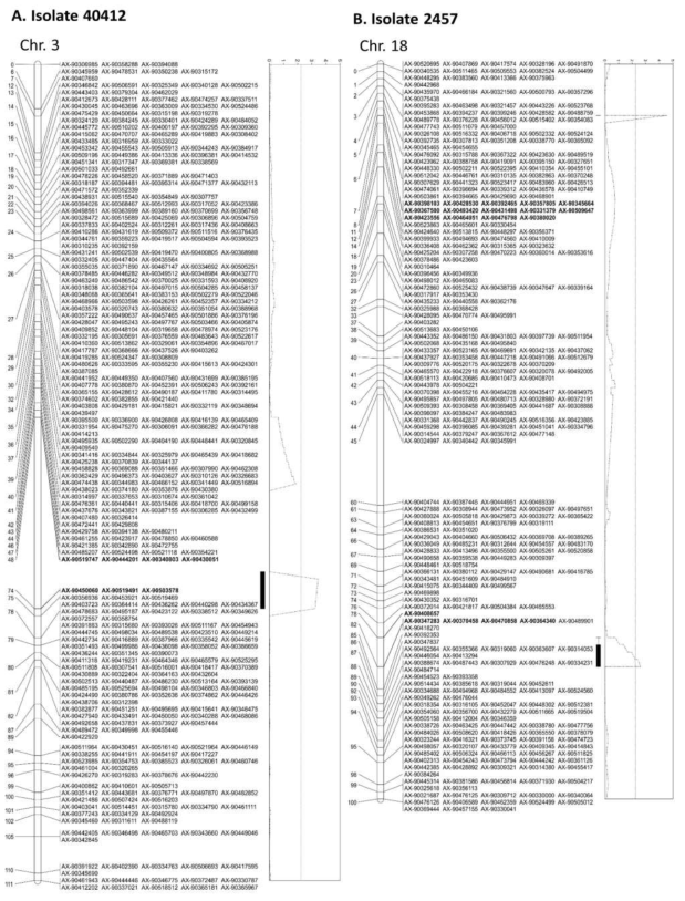 대풍×소청2호 집단에서 탐색된 역병 저항성 유전자좌 (A) 균주 40412 (B) 균주 2457
