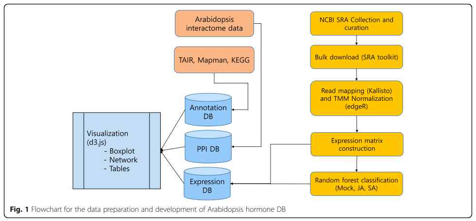 Flowchart for the data preparation and development of Arabidopsis hormone DB