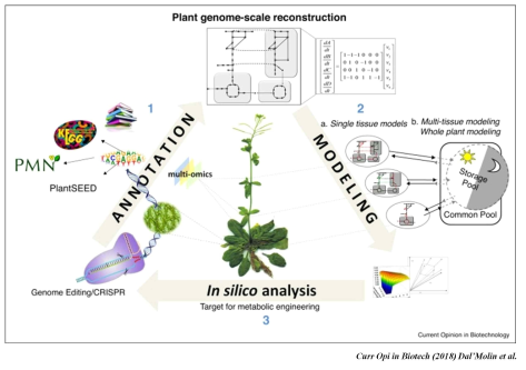 단일세포의 식물 게놈수준 모델을 다양한 조직으로 확대