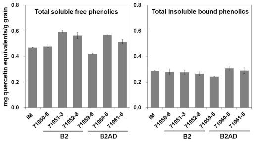 B2 및 B2AD 과발현 종자의 total phenolic contents 분석