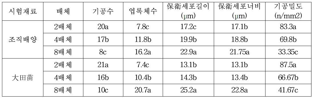 배수성이 다른 댕댕이나무 잎의 엽록체 수, 크기, 밀도 및 수