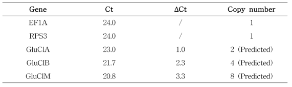 GluClA, GluClB, GluClM 유전자 예상 copy 수