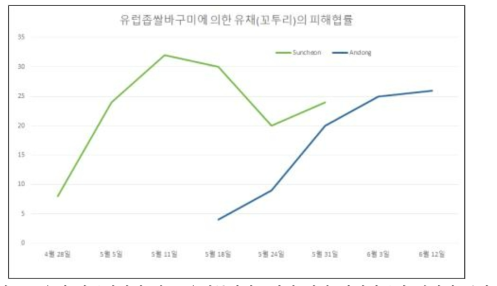 유채 파종시기에 따른 유럽좁쌀바구미에 의한 피해협률의 경시적 변화 * 순천: 2월 상순 파종, 5월 5일경 만개기; 안동: 3월 상순 파종, 5월 31일경 만개기