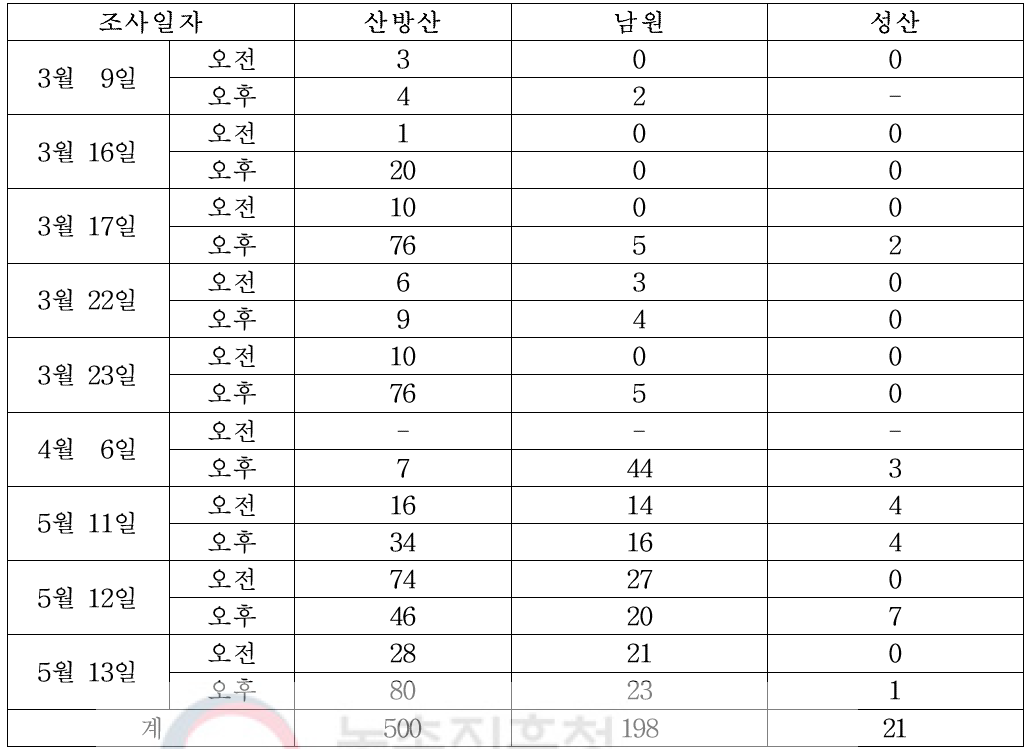 제주 3개 지점에서 황색끈끈이판트랩을 이용한 유럽좁쌀바구미 성충 채집