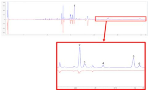 Mirror overlay GC profiles of C. obstricus females (upper graphs, blue lines) and males (lower graphs, red lines). Red box demonstrates the magnified profile image for small peaks under larger-scaled spectrum. Female-specific peaks are remarked by numbering