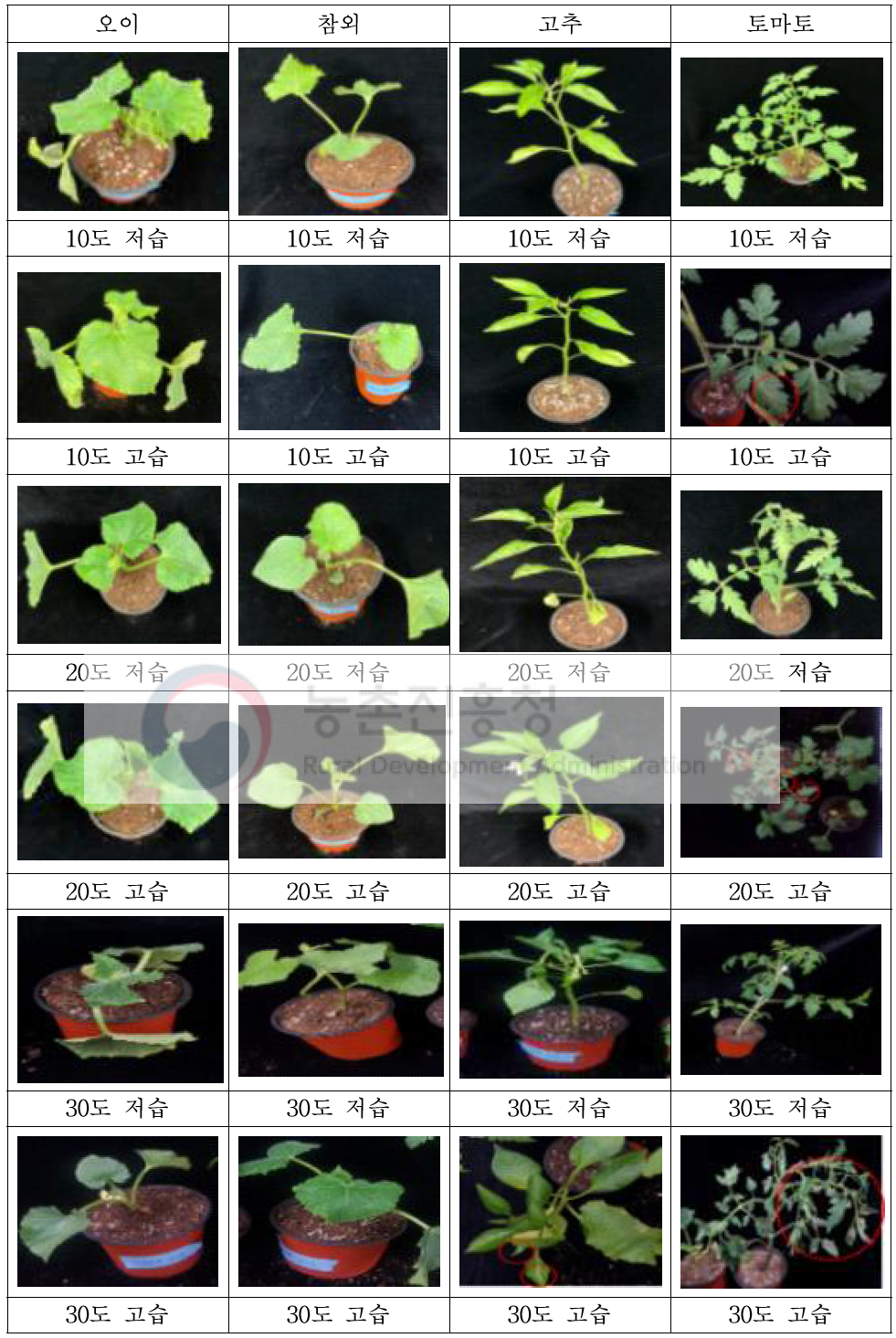 오이, 참외, 고추, 토마토의 온도와 습도에 따른 ethyl formate 2시간 훈증