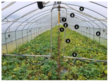 참외 온실(1,140 ㎥) 내 샘플 라인 위치 및 농업용 훈증 처리기를 이용한 처리 사진