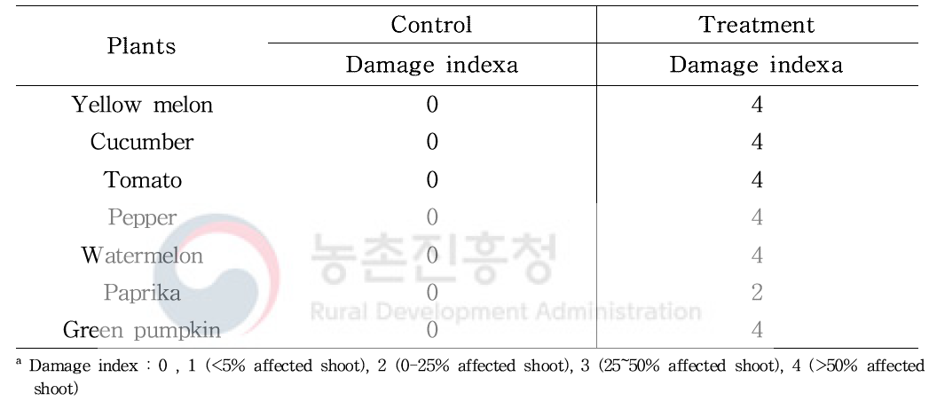 Phyto-toxicity to some crops 7 days after fumigation with EF (19~26℃, 12 hr)