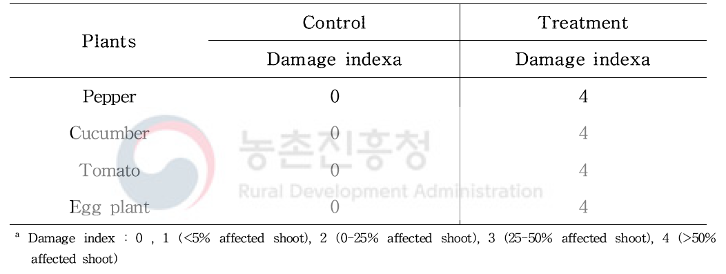 Phyto-toxicity to some crops 1 day after fumigation with EF (8 - 10℃, 4 hr)