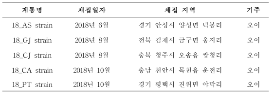 오이총채벌레 지역 계통 및 채집 지역