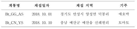 담배가루이 지역 계통 및 채집 지역