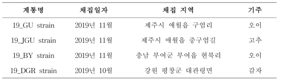 오이총채벌레 지역 계통 및 채집 지역