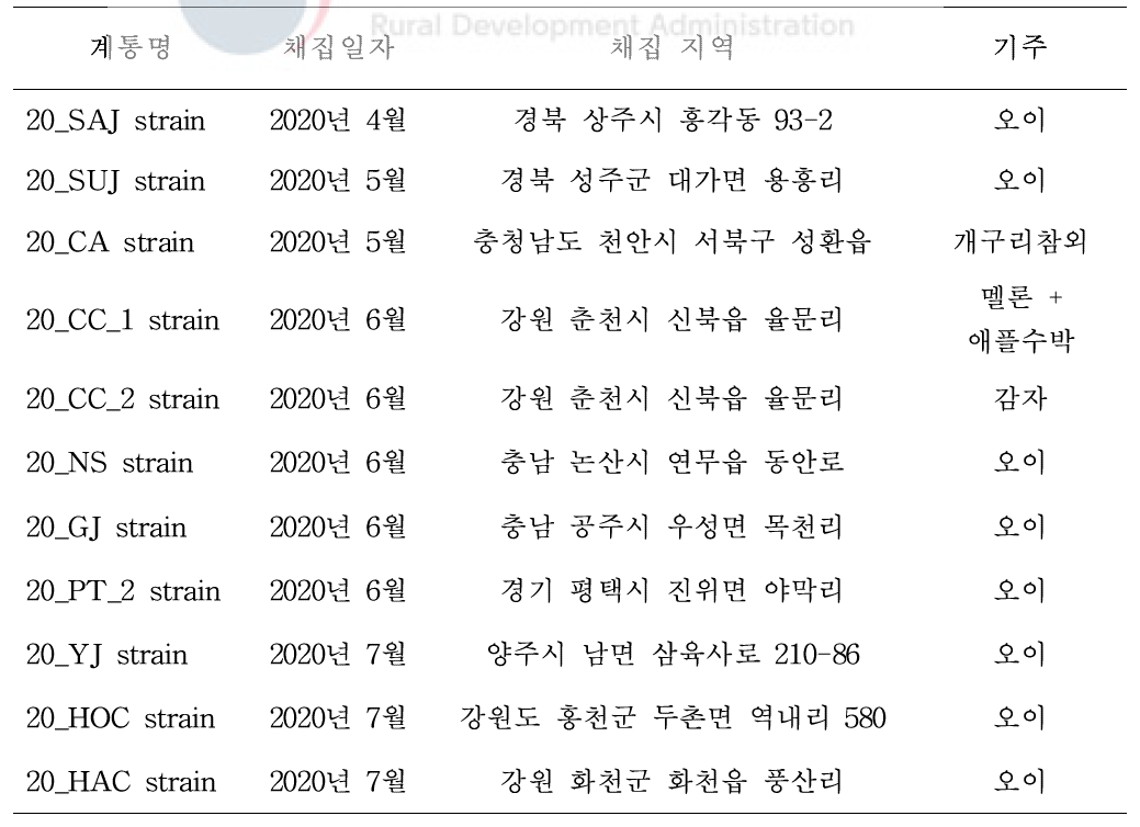 오이총채벌레 지역 계통 및 채집 지역