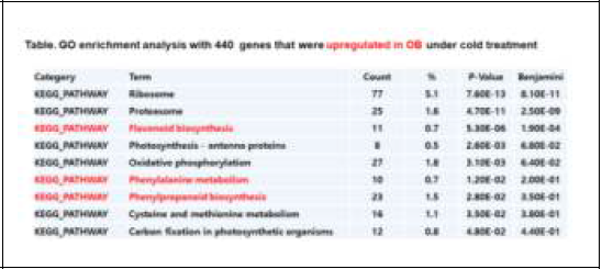 스프레이 국화품종 오블랑의 저온처리에 따른 발현증가된 유전자들의 GO enrichment 분석결과 (440 유전자)