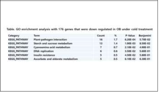 스프레이 국화품종 오블랑의 저온처리에 따른 발현증가된 유전자들의 GO enrichment 분석결과 (176 유전자)