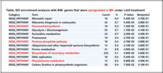 스탠다드 국화품종 백강의 저온처리에 따른 발현증가된 유전자들의 GO enrichment 분석결과 (946 유전자)