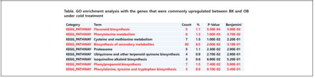 국화 2품종 모두에서 저온처리에 따른 발현증가된 유전자들의 GO enrichment 분석결과