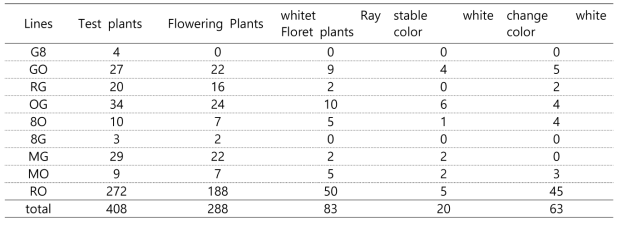 국화 화색별 교배 후대실생집단에서 백색인 실생개체의 화색발현 특성