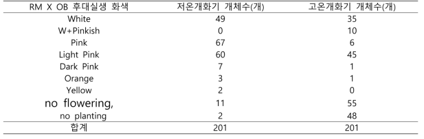 Red Marble × OhBlang 후대 실생개체의 저온기와 고온기 화색표현형별 개체수