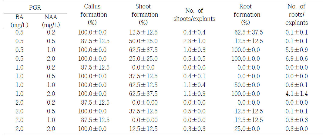식물생장조절제 BA와 NAA 처리에 따른 국화 ‘백강’의 잎 절편체로부터 재생 효율