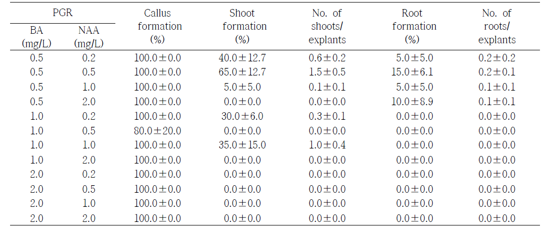 식물생장조절제 BA와 NAA 처리에 따른 국화 ‘레드마블’의 잎 절편체로부터 재생 효율