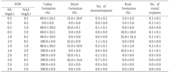식물생장조절제 BA와 NAA 처리에 따른 국화 ‘글로리핑크’의 잎 절편체로부터 재생 효율