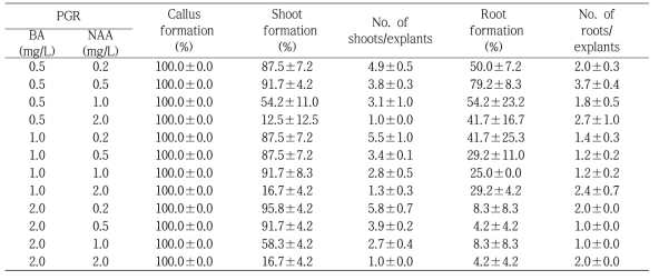 식물생장조절제 BA와 NAA 처리에 따른 국화 ‘보라미’의 잎 절편체로부터 재생 효율