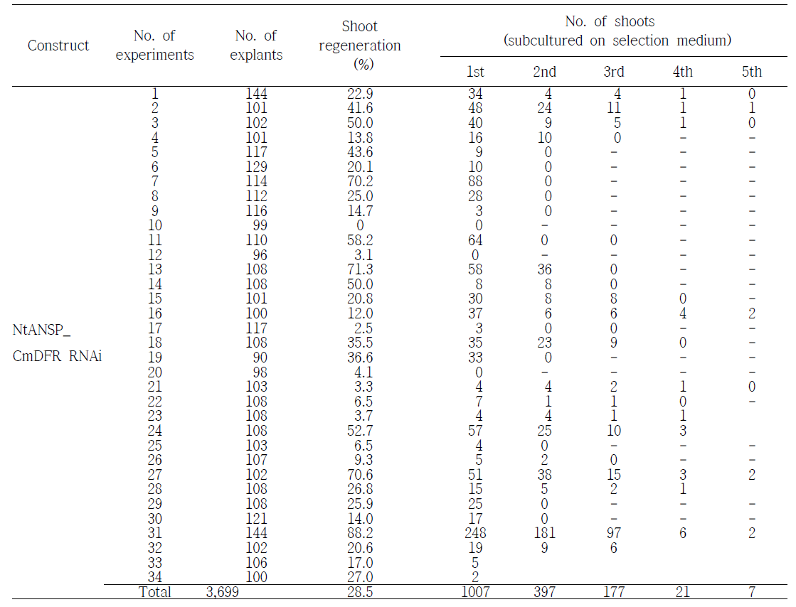 국화‘백강’의 NtANSP_CmDFR RNAi 도입 형질전환 현황