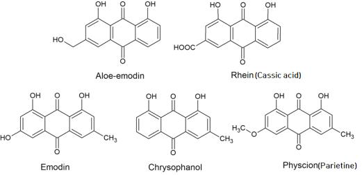 대황 추출물 유래 지표성분 구조