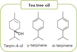 Tea tree oil 주성분의 구조
