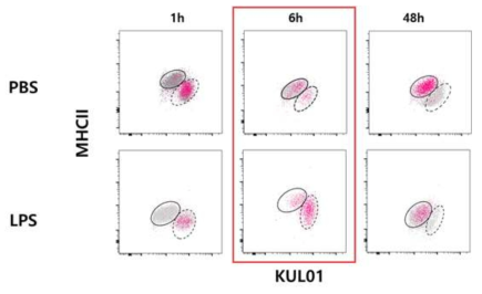 세포 이식 기법을 활용한 phenotype change 분석 연구