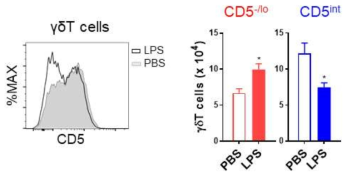 LPS 주입에 따른 감마델타 T세포 군집의 분포 분석