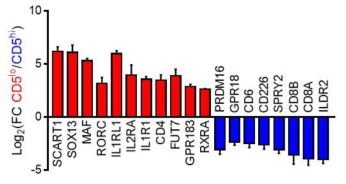 CD5 발현에 따른 조류 감마델타 T세포 군집의 RNA sequencing 분석 결과