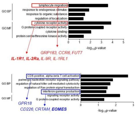 RNA seq 결과로 나온 DEG의 GO term 분석 결과