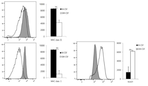 M-CSF 와 GM-CSF 배양에 따른 항원제시 및 가금 대식세포 마커 단백질 발현 비교