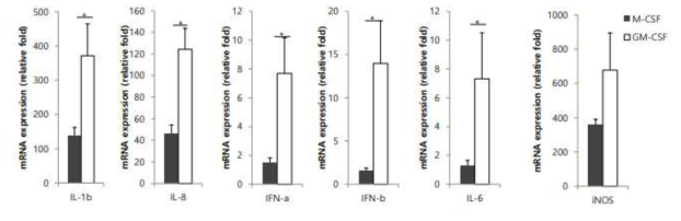 LPS 자극에 의한 GM-CSF와 M-CSF로 분화 시킨 대식세포의 염증성 사이토카인 전사체 발현 차이 규명