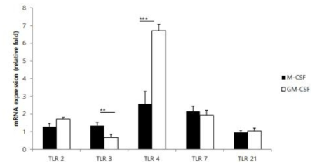 GM-CSF와 M-CSF로 분화 시킨 대식세포를 LPS 자극 시 TLR 유전자 발현 분석
