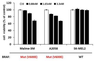 피부암 세포주에서 V6BRAF 항체 전달에 따른 생존능 확인