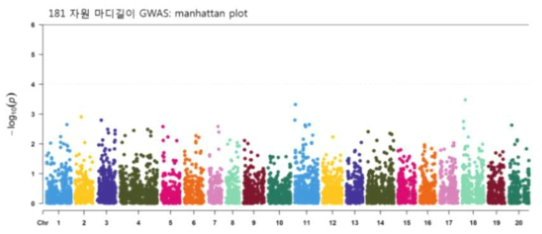 국내 핵심집단의 GWAS 결과 : Manhattan plot