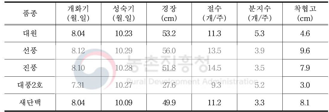 1차년도 품종별 생육 특성